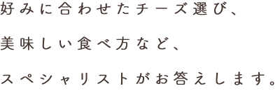 華やかな日常を