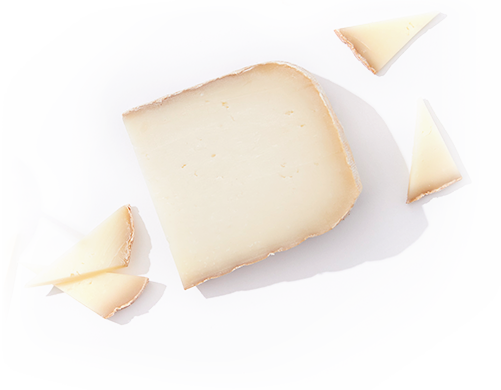セミハードチーズ
