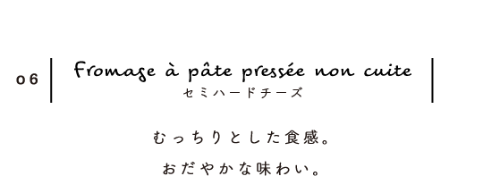 セミハードチーズ