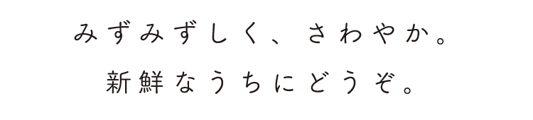 新鮮なうちにどうぞ